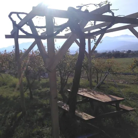 Πανσιόν Yesil Kelebek Ev