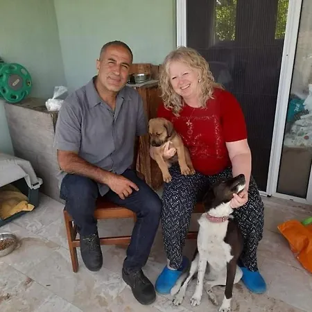 Πανσιόν Yesil Kelebek Ev *