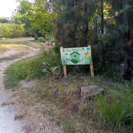 Yesil Kelebek Ev