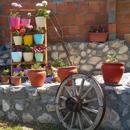 Guest house Yesil Kelebek Ev