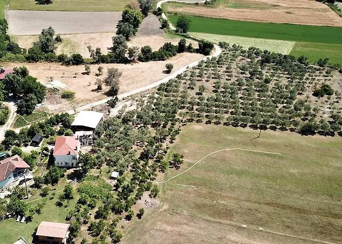 Konukevi Yesil Kelebek Ev Kadikoy (Fethiye)