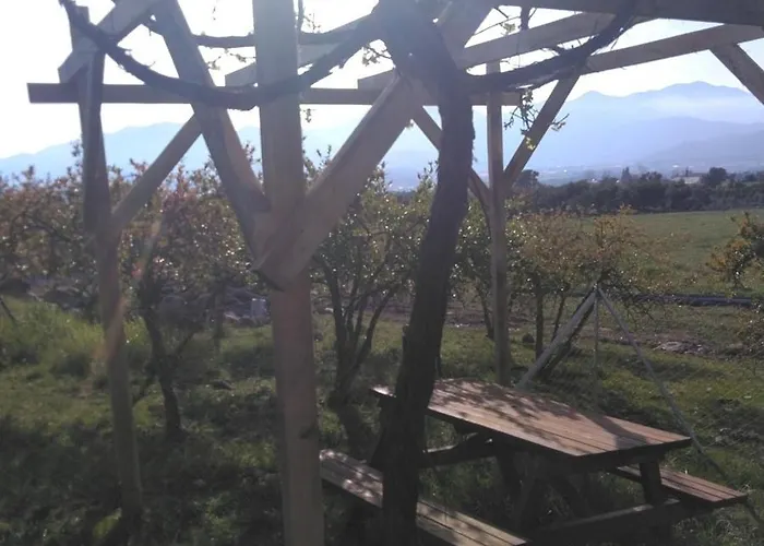 Konukevi Yesil Kelebek Ev