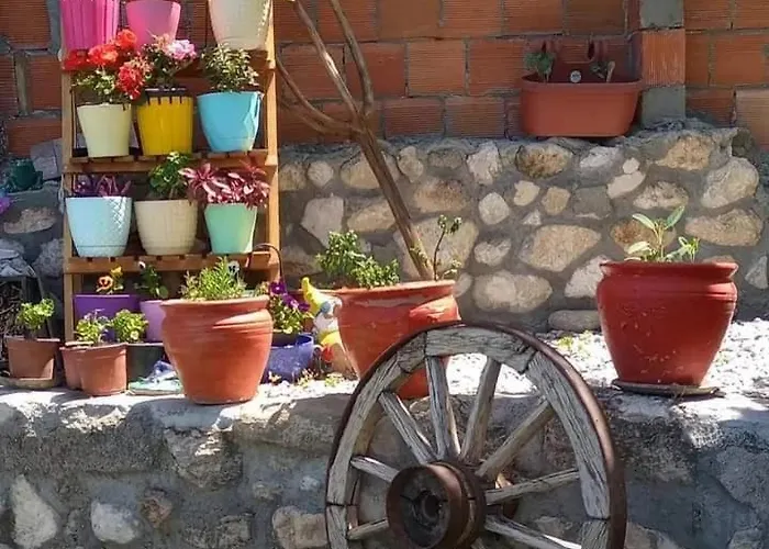 Konukevi Yesil Kelebek Ev